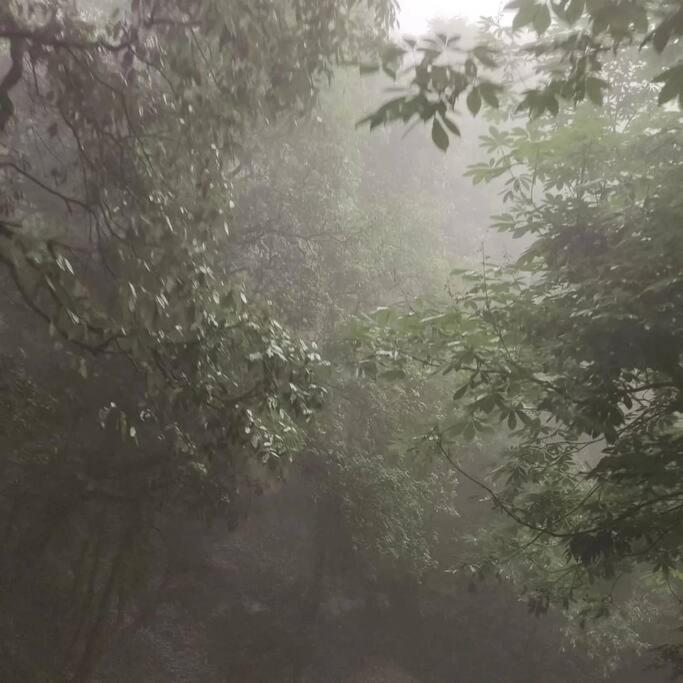 Shivalaya Cottage,Home Away From Home,Mehragaon,Bhimtal Bhowali Bagian luar foto